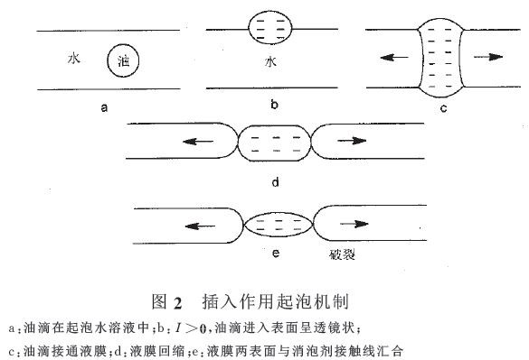 插入作用氣泡機(jī)制.jpg